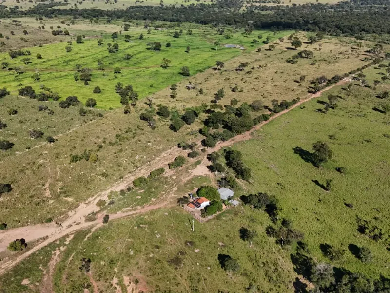 Fazenda em Nova Xavantina/Mato Grosso — Ref R7WN5M — Imagem 7