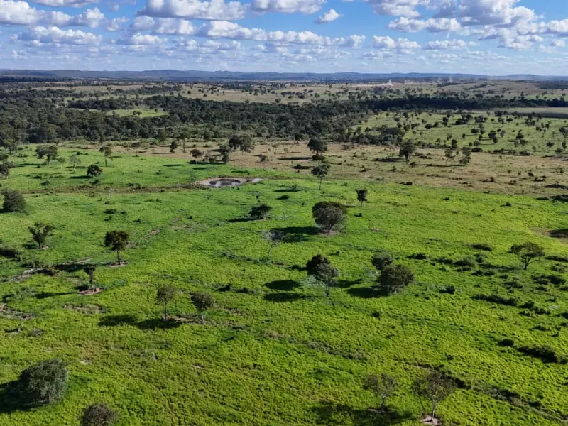 Fazenda em Nova Xavantina/Mato Grosso — Ref R7WN5M — Imagem 5