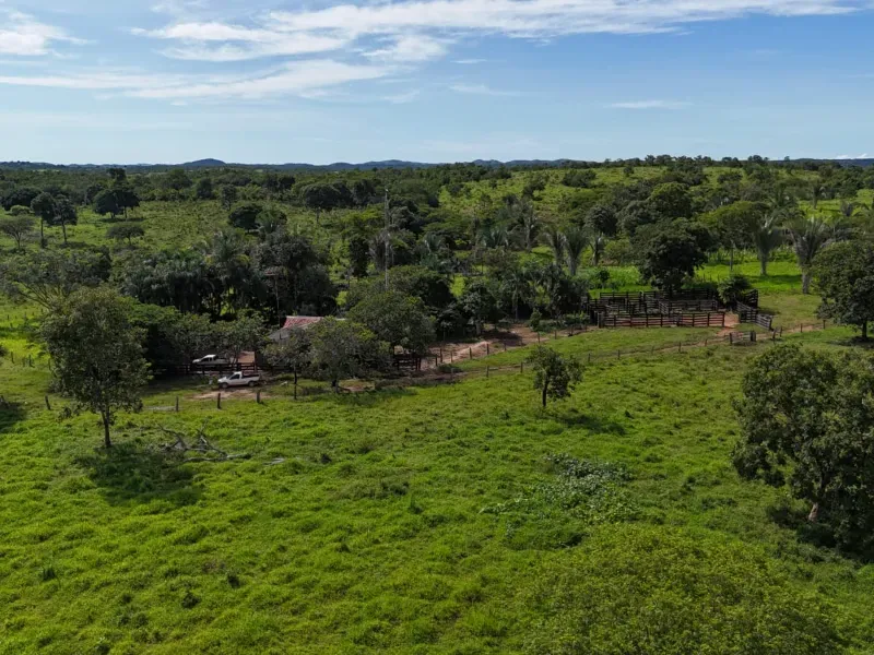Fazenda em Nova Xavantina/Mato Grosso — Ref PO0T0F — Imagem 7