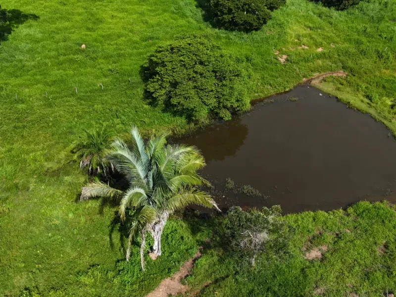 Fazenda em Nova Xavantina/Mato Grosso — Ref PO0T0F — Imagem 5