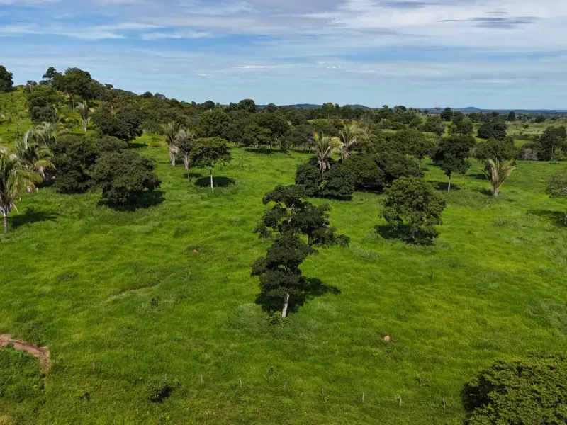 Fazenda em Nova Xavantina/Mato Grosso — Ref PO0T0F — Imagem 9