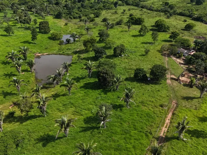 Fazenda em Nova Xavantina/Mato Grosso — Ref PO0T0F — Imagem 4