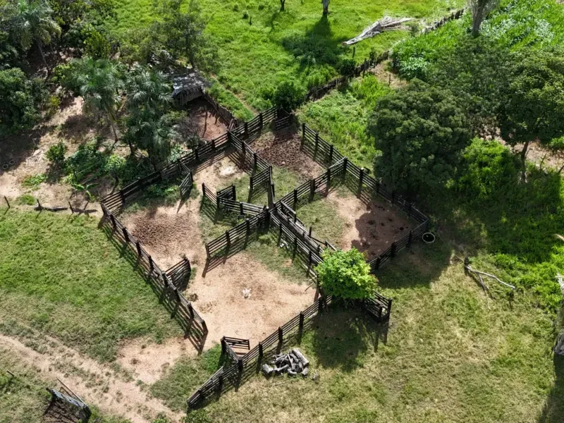 Fazenda em Nova Xavantina/Mato Grosso — Ref PO0T0F — Imagem 3