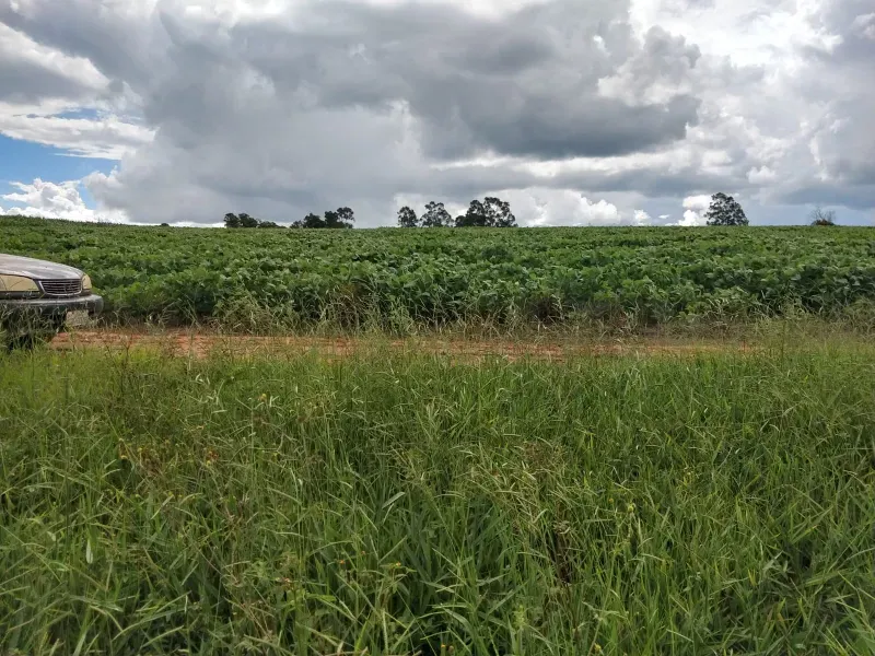 Fazenda em Sacramento/Minas Gerais — Ref Q17MHX — Imagem 2