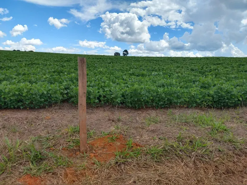 Fazenda em Sacramento/Minas Gerais — Ref Q17MHX — Imagem 3