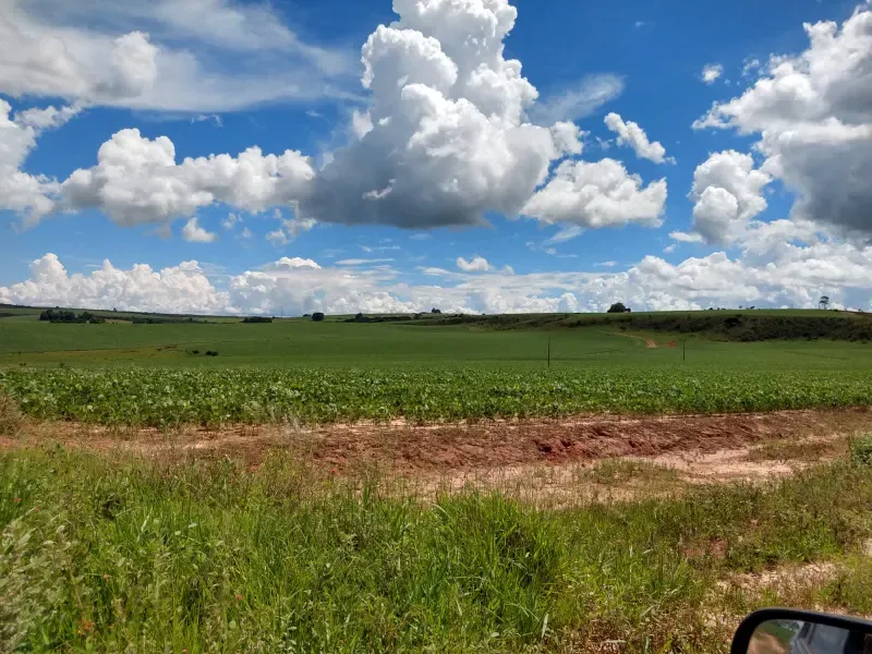 Fazenda em Sacramento/Minas Gerais — Ref Q17MHX — Imagem 4