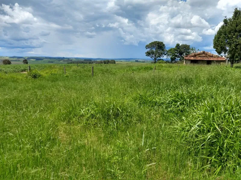 Fazenda em Sacramento/Minas Gerais — Ref Q17MHX — Imagem 9