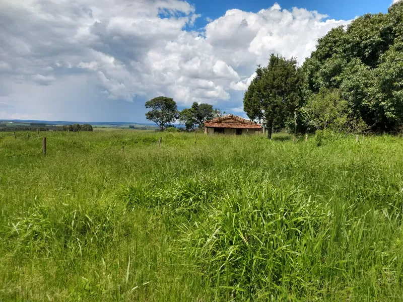 Fazenda em Sacramento/Minas Gerais — Ref Q17MHX — Imagem 10
