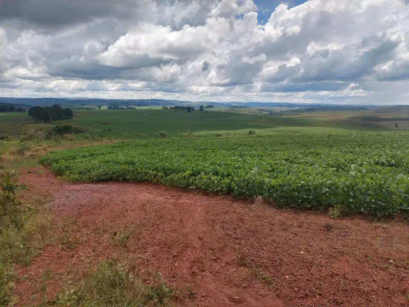 Fazenda em Sacramento/Minas Gerais — Ref Q17MHX — Imagem 11