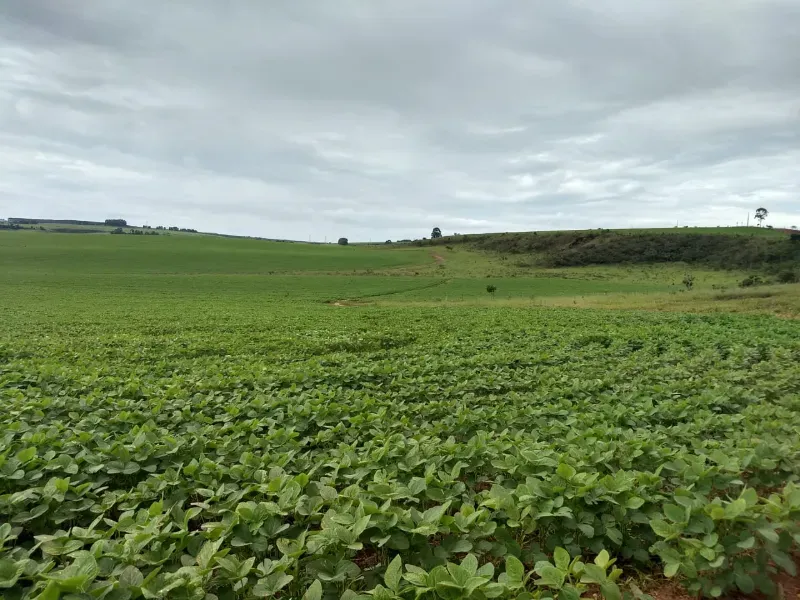 Fazenda em Sacramento/Minas Gerais — Ref Q17MHX — Imagem 13