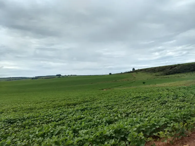 Fazenda em Sacramento/Minas Gerais — Ref Q17MHX — Imagem 15