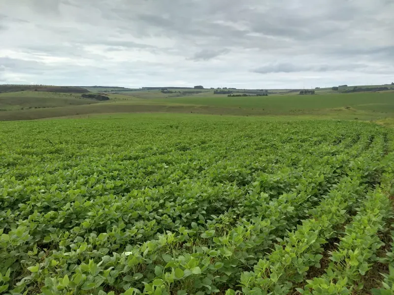 Imóvel rural em Sacramento/Minas Gerais — Ref Q17MHX1