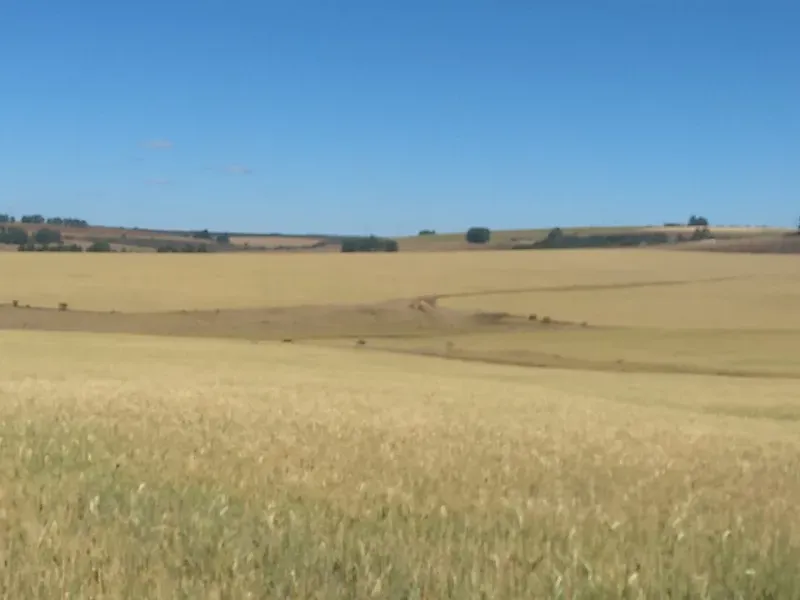 Fazenda em Sacramento/Minas Gerais — Ref Q17MHX — Imagem 19