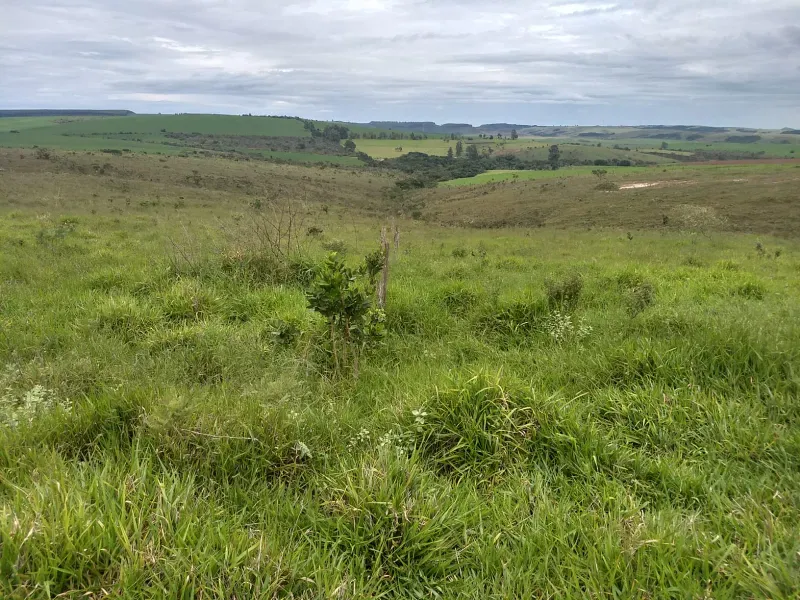 Fazenda em Sacramento/Minas Gerais — Ref Q17MHX — Imagem 23