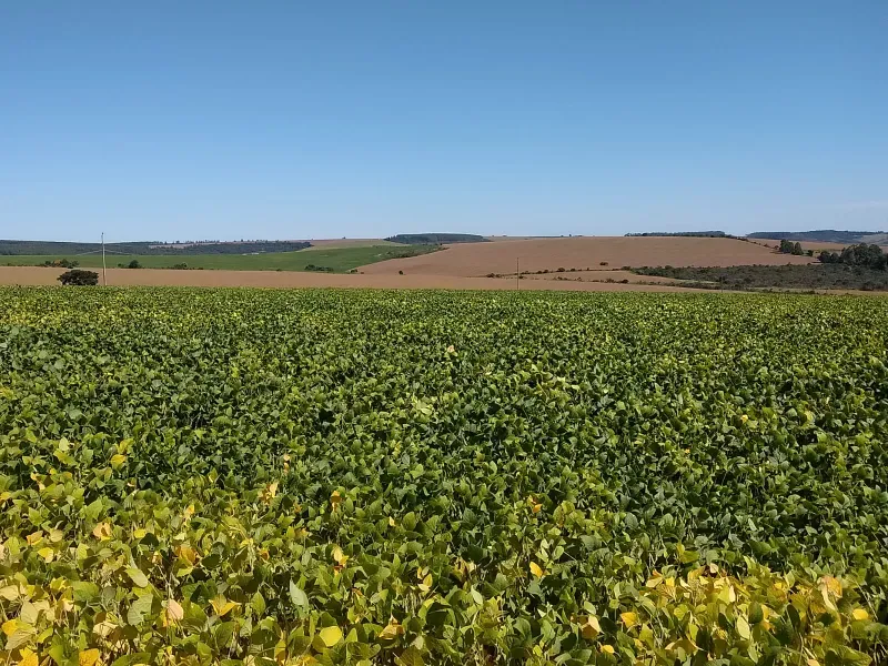 Fazenda em Sacramento/Minas Gerais — Ref Q17MHX — Imagem 25