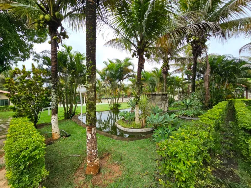 Chácara em Luziânia/Goiás — Ref 7F2VYY — Imagem 4