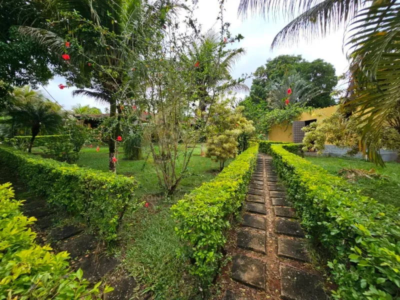 Chácara em Luziânia/Goiás — Ref 7F2VYY — Imagem 18