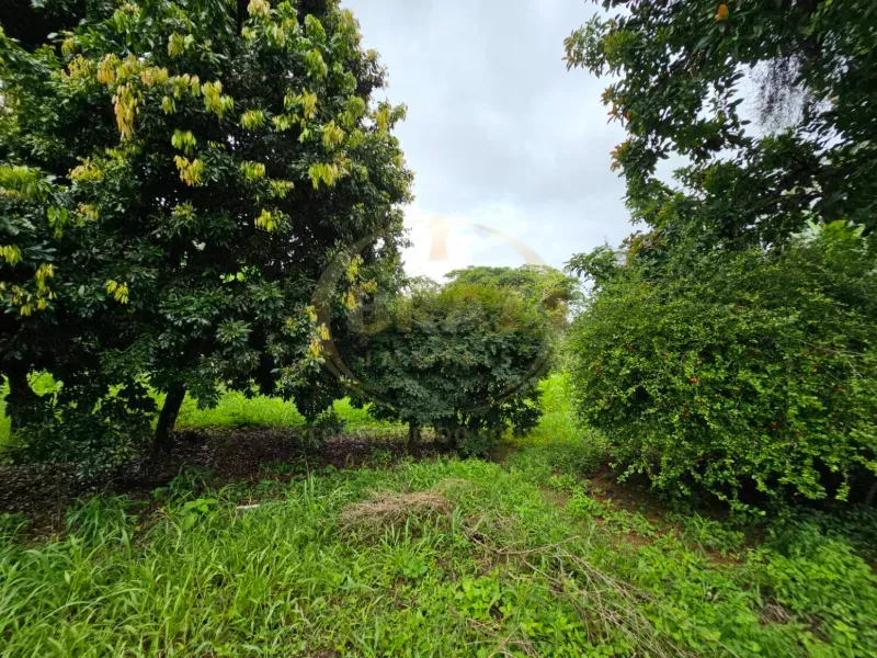 Chácara em Luziânia/Goiás — Ref 7F2VYY — Imagem 42