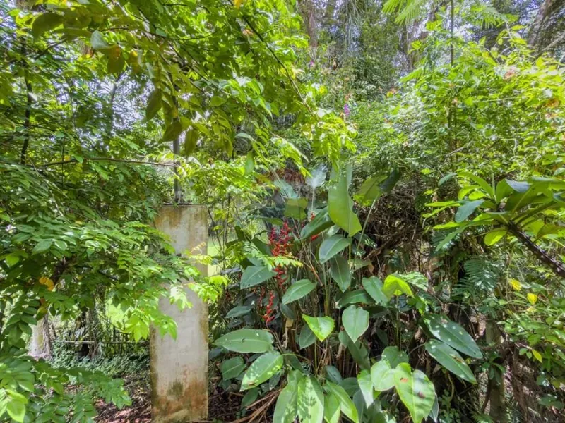 Chácara em Jarinu/São Paulo — Ref 8KKDMD — Imagem 40