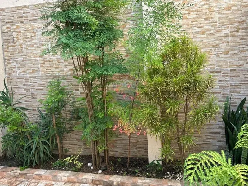 Chácara em Jarinu/São Paulo — Ref 4P8Q6J — Imagem 29