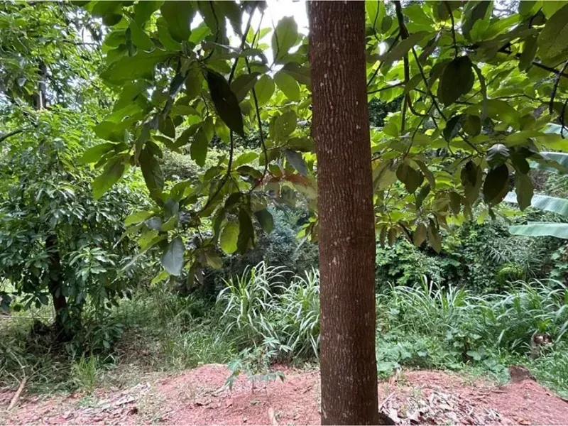 Chácara em Jarinu/São Paulo — Ref 4P8Q6J — Imagem 47