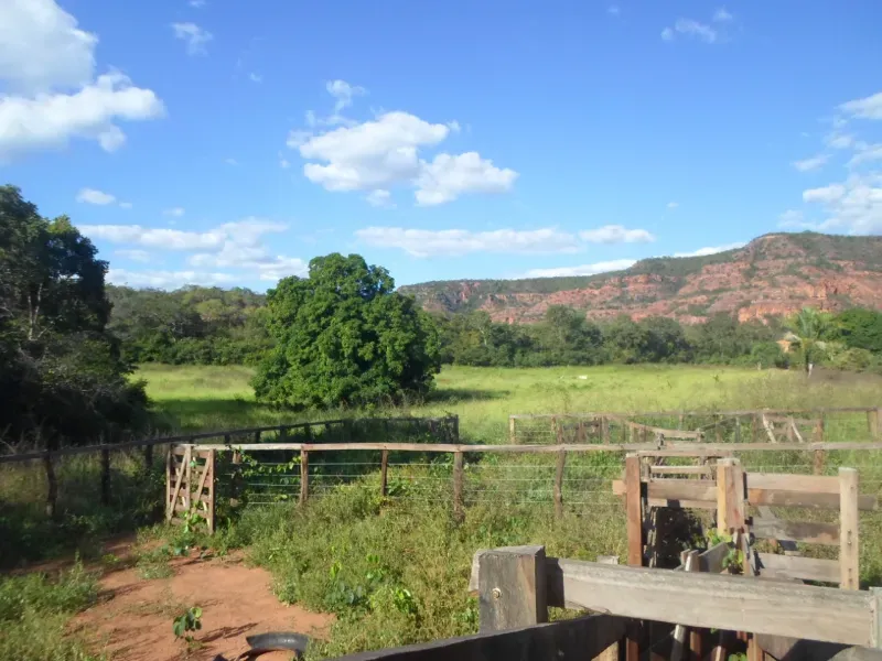 Fazenda em Currais/Piauí — Ref 2IOXU0 — Imagem 2