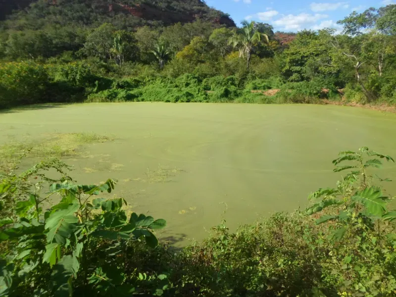 Fazenda em Currais/Piauí — Ref 2IOXU0 — Imagem 11