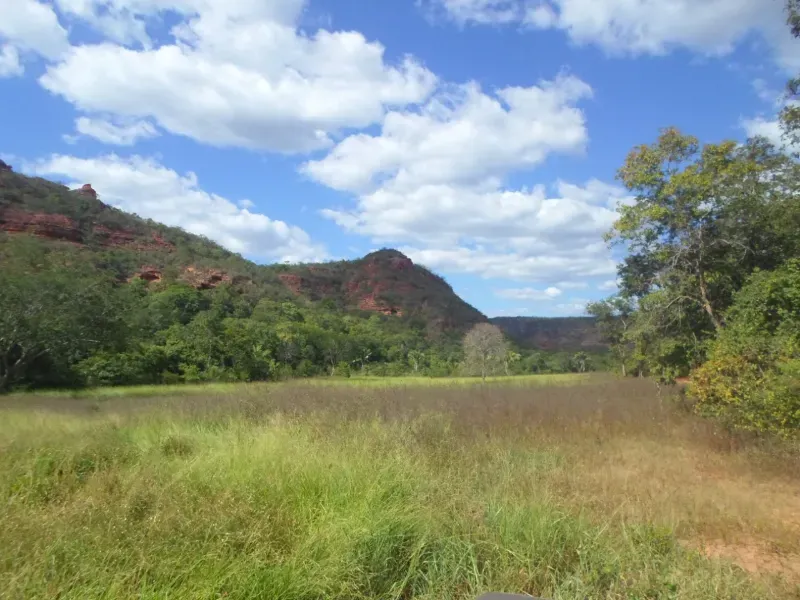 Fazenda em Currais/Piauí — Ref 2IOXU0 — Imagem 10