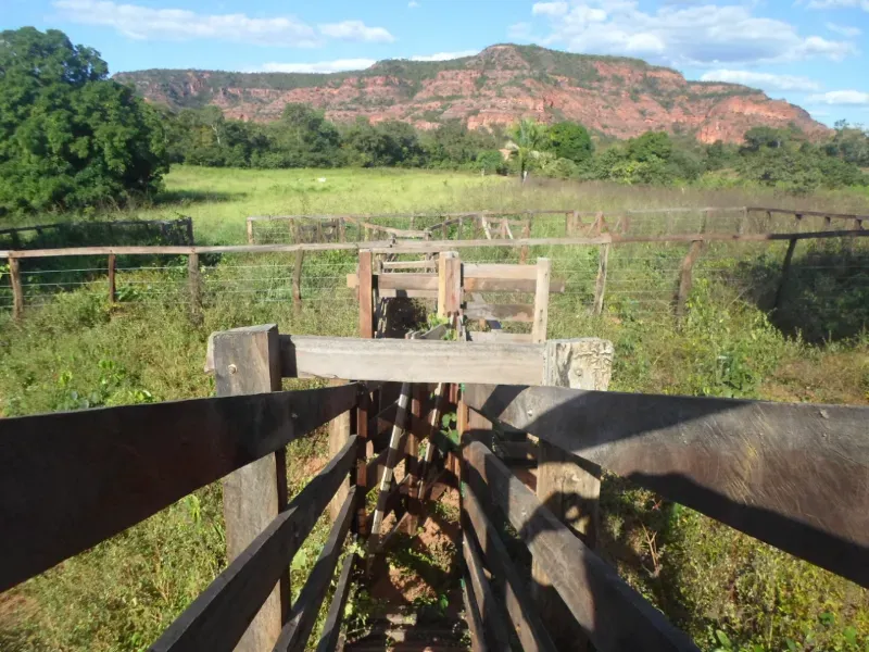 Fazenda em Currais/Piauí — Ref 2IOXU0 — Imagem 3