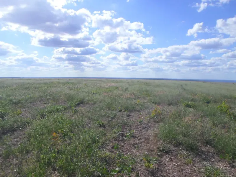 Fazenda em Currais/Piauí — Ref 2IOXU0 — Imagem 16