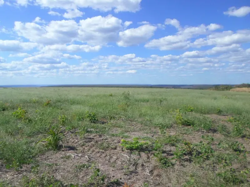 Fazenda em Currais/Piauí — Ref 2IOXU0 — Imagem 17