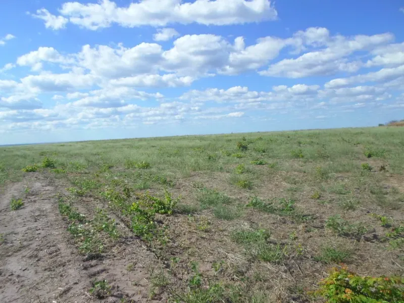 Fazenda em Currais/Piauí — Ref 2IOXU0 — Imagem 18