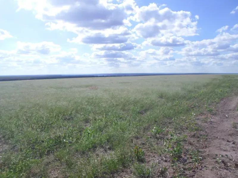 Fazenda em Currais/Piauí — Ref 2IOXU0 — Imagem 19