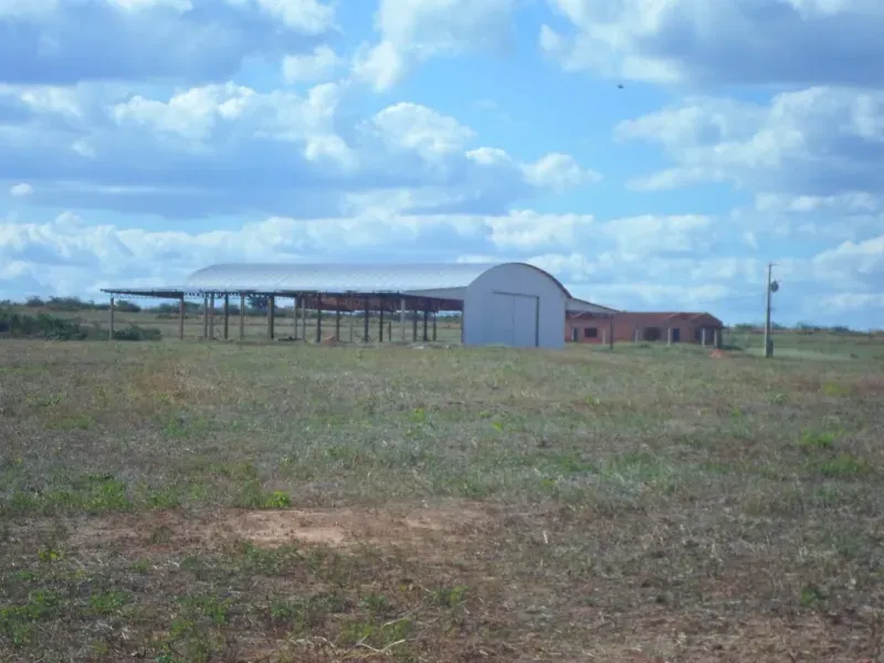 Fazenda em Currais/Piauí — Ref 2IOXU0 — Imagem 8