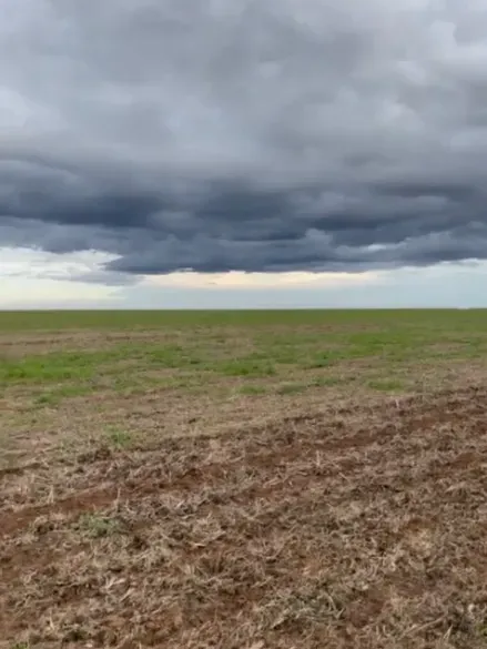 Fazenda em Luís Eduardo Magalhães/Bahia — Ref 4PZYOT — Imagem 2