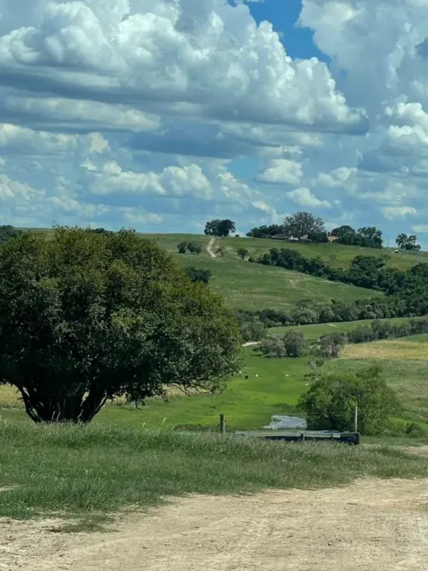Fazenda em Porto Feliz/São Paulo — Ref D7I9ZQ — Imagem 9