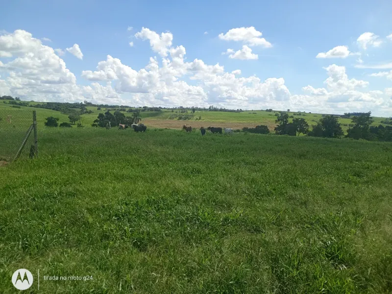 Fazenda em Porto Feliz/São Paulo — Ref D7I9ZQ — Imagem 11