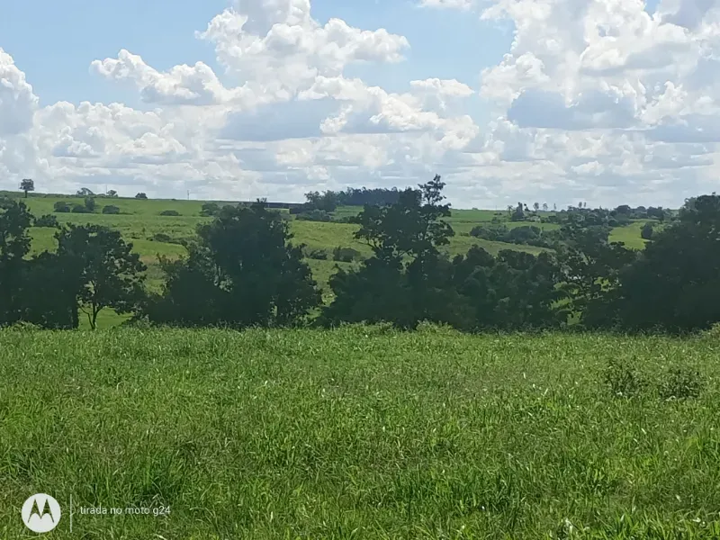 Fazenda em Porto Feliz/São Paulo — Ref D7I9ZQ — Imagem 14