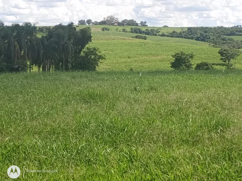 Fazenda em Porto Feliz/São Paulo — Ref D7I9ZQ — Imagem 15
