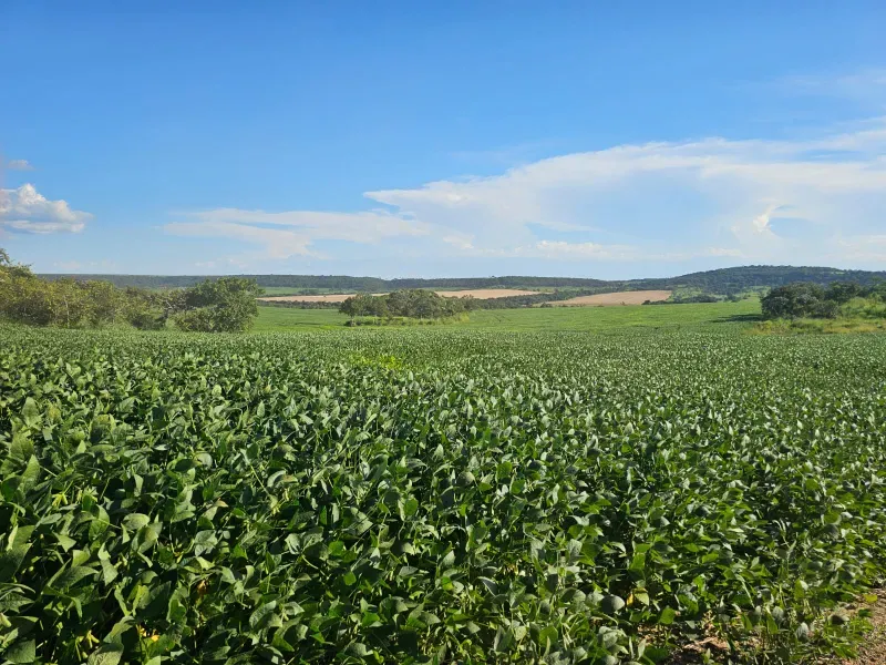 Fazenda em Caiapônia/Goiás — Ref U2B2Y7 — Imagem 4