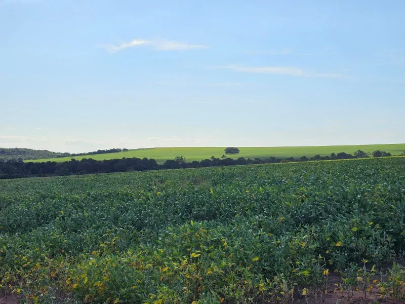 Fazenda em Caiapônia/Goiás — Ref U2B2Y7 — Imagem 8