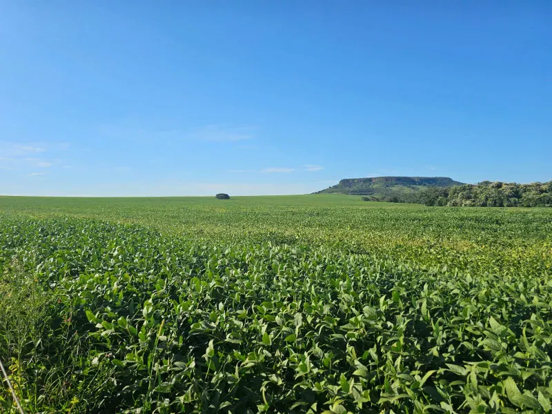 Fazenda em Caiapônia/Goiás — Ref U2B2Y7 — Imagem 3