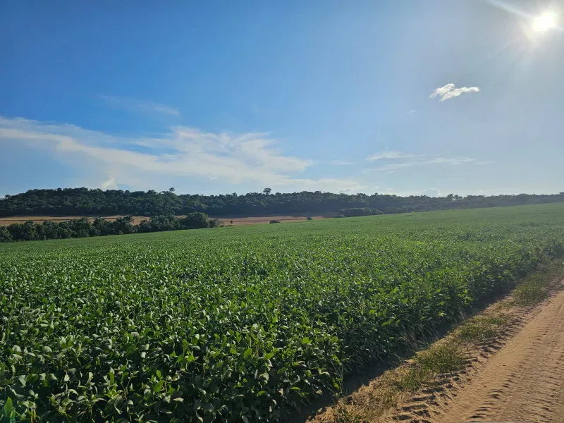 Fazenda em Caiapônia/Goiás — Ref U2B2Y7 — Imagem 9