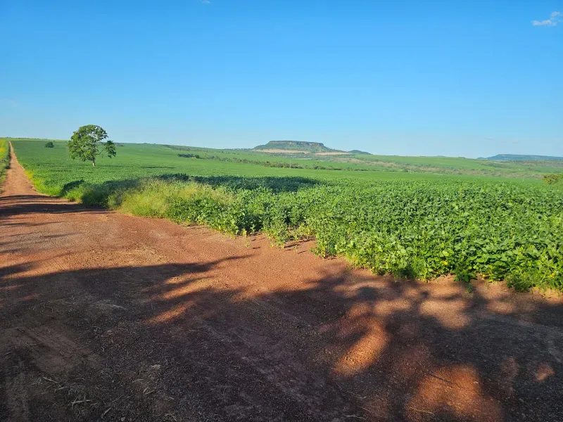 Fazenda em Caiapônia/Goiás — Ref U2B2Y7 — Imagem 10