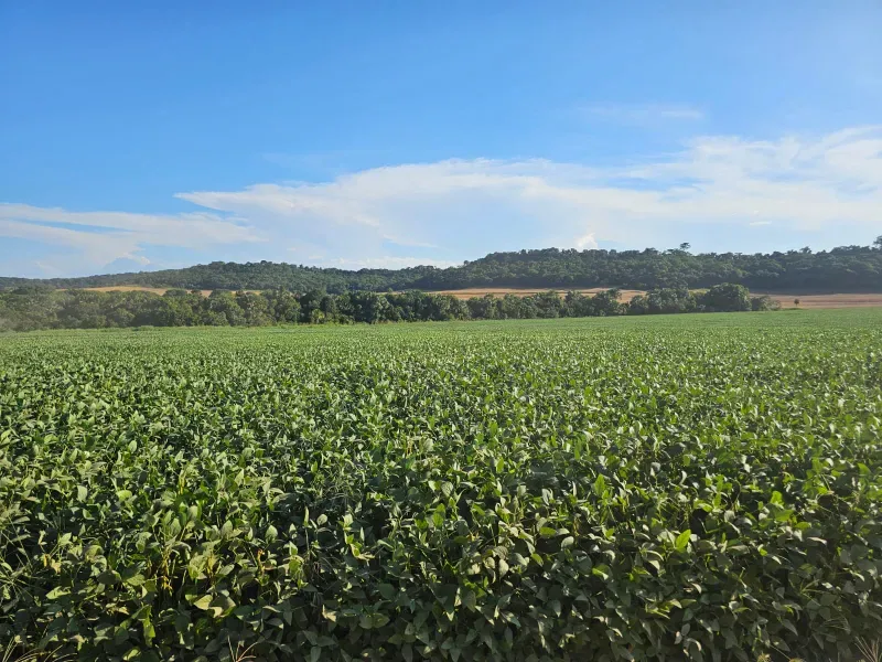 Fazenda em Caiapônia/Goiás — Ref U2B2Y7 — Imagem 5