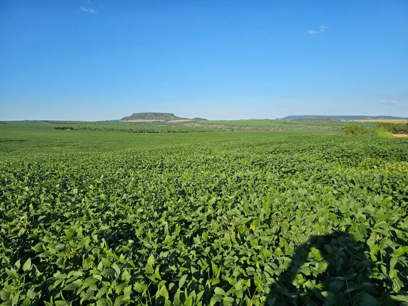 Fazenda em Caiapônia/Goiás — Ref U2B2Y7 — Imagem 6