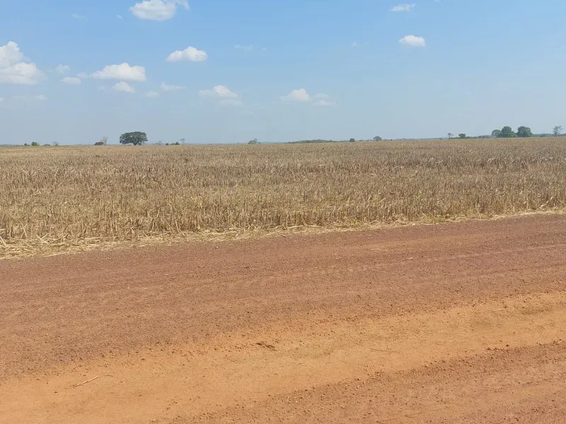 Fazenda em Jangada/Mato Grosso — Ref A3JQ1H — Imagem 11