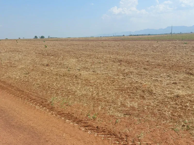 Fazenda em Jangada/Mato Grosso — Ref A3JQ1H — Imagem 15
