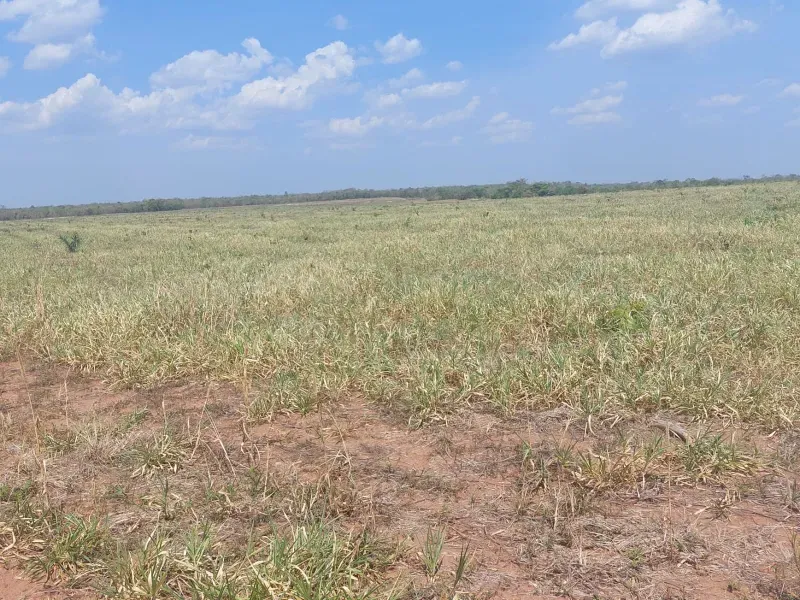 Fazenda em Jangada/Mato Grosso — Ref A3JQ1H — Imagem 17