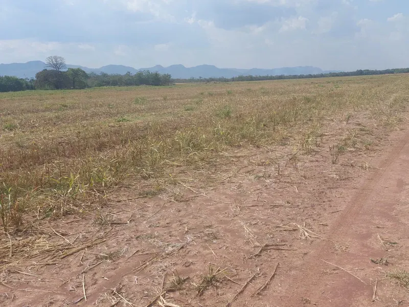 Fazenda em Jangada/Mato Grosso — Ref A3JQ1H — Imagem 19